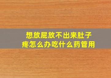 想放屁放不出来肚子疼怎么办吃什么药管用