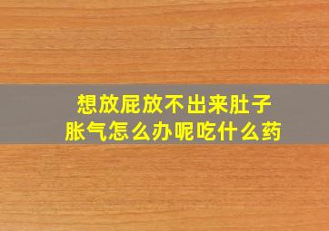 想放屁放不出来肚子胀气怎么办呢吃什么药