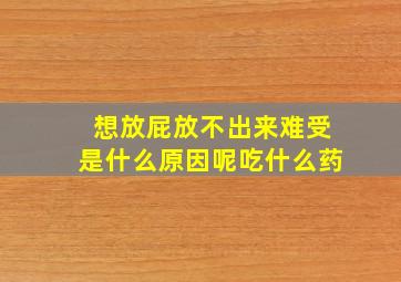 想放屁放不出来难受是什么原因呢吃什么药