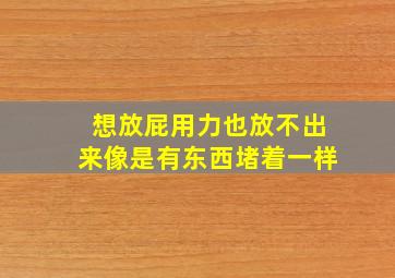 想放屁用力也放不出来像是有东西堵着一样