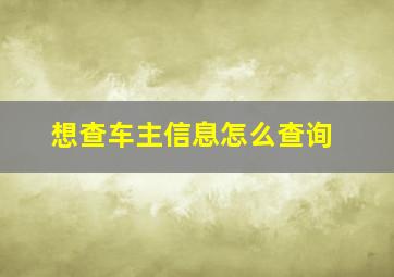 想查车主信息怎么查询