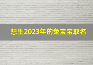 想生2023年的兔宝宝取名