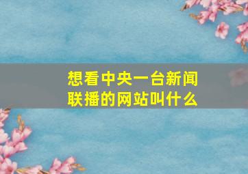 想看中央一台新闻联播的网站叫什么