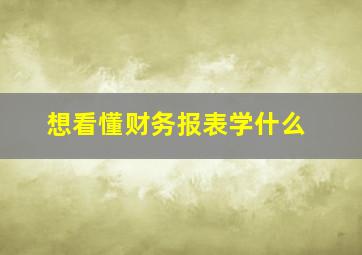 想看懂财务报表学什么