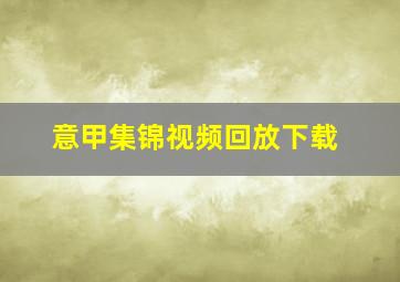 意甲集锦视频回放下载