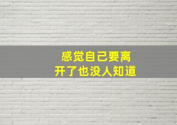 感觉自己要离开了也没人知道