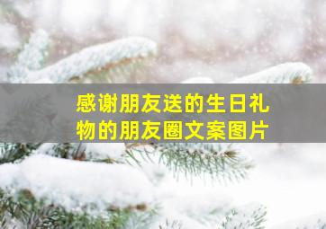 感谢朋友送的生日礼物的朋友圈文案图片