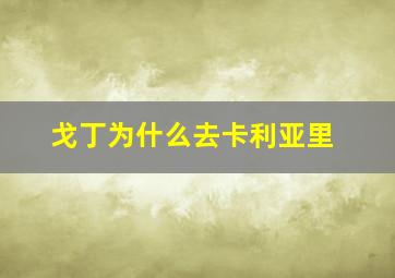 戈丁为什么去卡利亚里