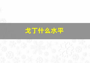 戈丁什么水平