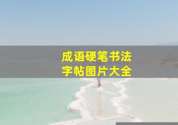 成语硬笔书法字帖图片大全