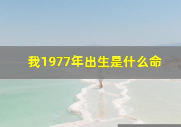 我1977年出生是什么命