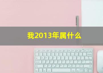 我2013年属什么