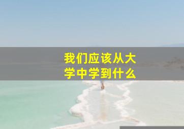 我们应该从大学中学到什么