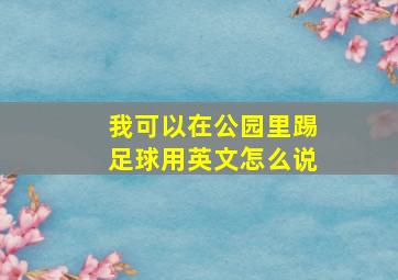 我可以在公园里踢足球用英文怎么说