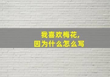 我喜欢梅花,因为什么怎么写