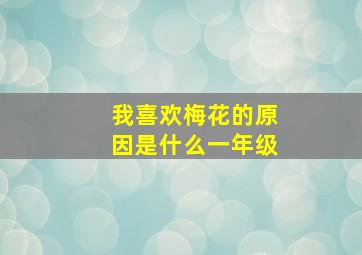 我喜欢梅花的原因是什么一年级