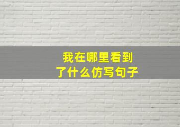 我在哪里看到了什么仿写句子