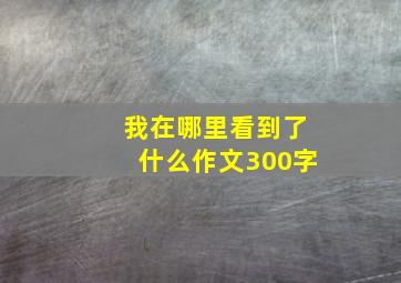 我在哪里看到了什么作文300字