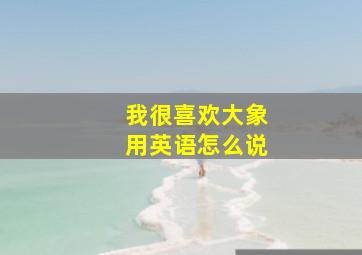 我很喜欢大象用英语怎么说