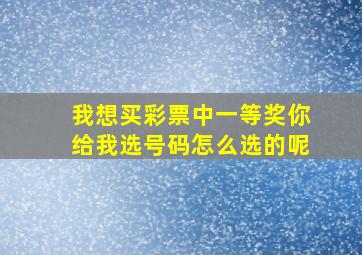 我想买彩票中一等奖你给我选号码怎么选的呢