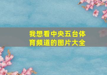 我想看中央五台体育频道的图片大全