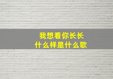 我想看你长长什么样是什么歌