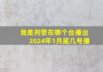 我是刑警在哪个台播出2024年1月底几号播