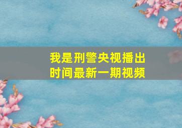 我是刑警央视播出时间最新一期视频