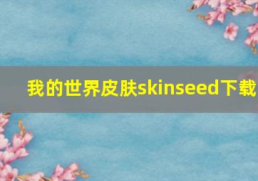 我的世界皮肤skinseed下载