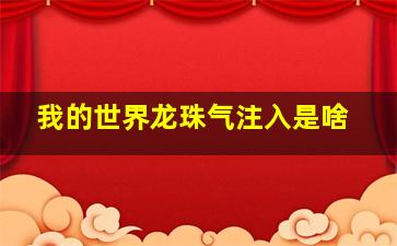 我的世界龙珠气注入是啥