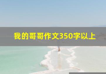 我的哥哥作文350字以上