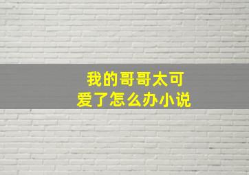 我的哥哥太可爱了怎么办小说