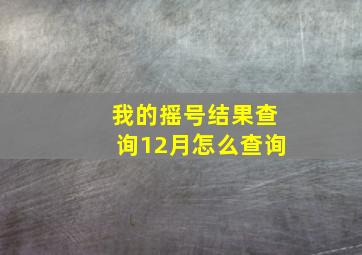 我的摇号结果查询12月怎么查询