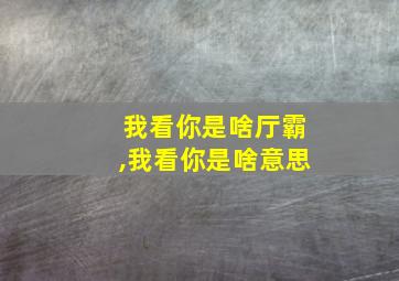 我看你是啥厅霸,我看你是啥意思