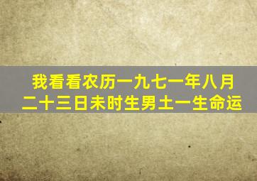 我看看农历一九七一年八月二十三日未时生男土一生命运