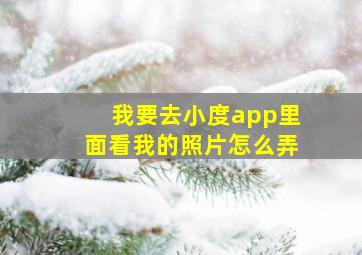 我要去小度app里面看我的照片怎么弄