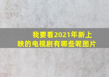 我要看2021年新上映的电视剧有哪些呢图片