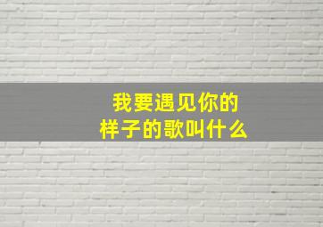 我要遇见你的样子的歌叫什么