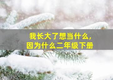 我长大了想当什么,因为什么二年级下册