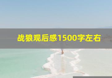 战狼观后感1500字左右