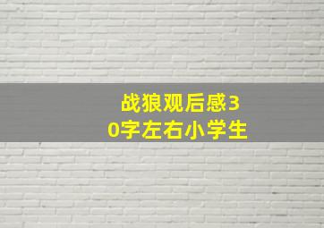 战狼观后感30字左右小学生