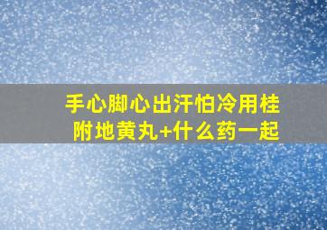 手心脚心出汗怕冷用桂附地黄丸+什么药一起