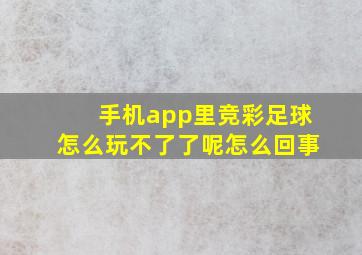 手机app里竞彩足球怎么玩不了了呢怎么回事