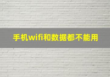 手机wifi和数据都不能用