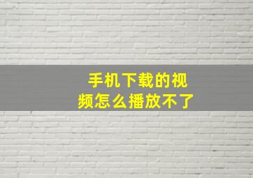 手机下载的视频怎么播放不了