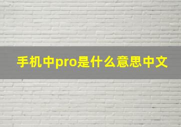 手机中pro是什么意思中文