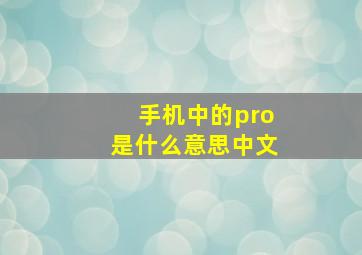 手机中的pro是什么意思中文