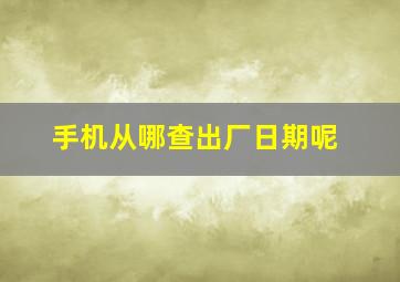 手机从哪查出厂日期呢