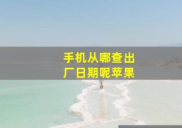 手机从哪查出厂日期呢苹果