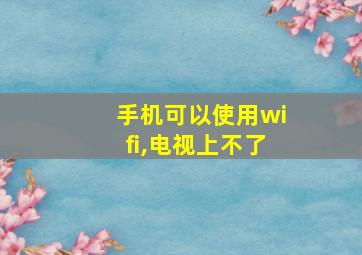 手机可以使用wifi,电视上不了